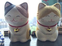 -帝京日语(春熙路旗舰校区)