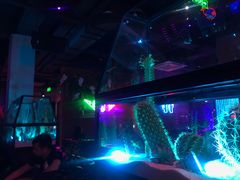 -贰麻酒馆(1912店)