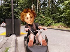 -圣淘沙天际线斜坡滑车