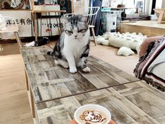 拿铁咖啡-小时光咖啡馆(开森度假森林店)