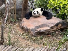 -南宁市动物园