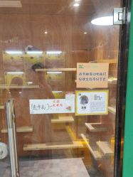 点击看大图 -神奇动物撸宠馆·羊驼·小浣熊·异宠(豫园店)