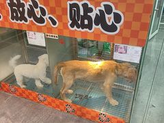 -汤姆宠物(长青北路店)