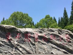 -东平国家森林公园