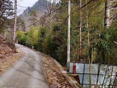 -黑河国家森林公园