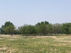 -汉长安城未央宫国家考古遗址公园