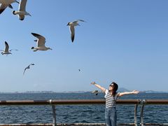 -东港音乐喷泉广场