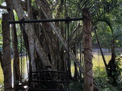 -海南热带野生动植物园