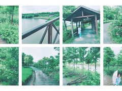 -上海长兴岛郊野公园