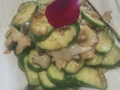 -海派美食·家宴海鲜青岛菜·石锅鲽鱼头(东方城店)