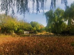 -石家庄市植物园