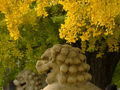 -北京石刻艺术博物馆(五塔寺)