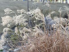 -美兰湖景区