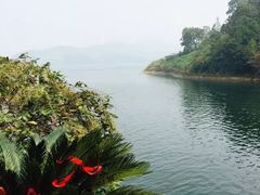 -仙岛湖旅游风景区