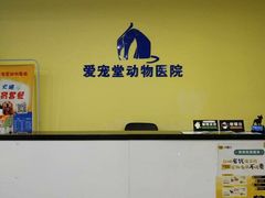 -瑞鹏宠物医院·爱宠堂·骨外专科(西荷分院)