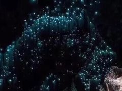 -怀托摩萤火虫洞