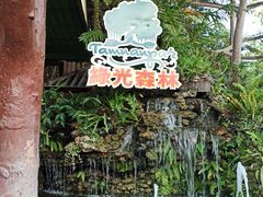 -绿光森林餐厅