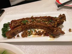 -楚灶王(徐东店)