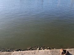 -多瑙河畔鞋履雕塑