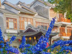 -荔湾湖公园