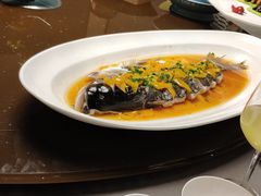 -毗陵醉·黑钻(湖塘店)