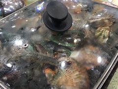 -鹏城人家海鲜酒家·23年老字号(较场尾店)