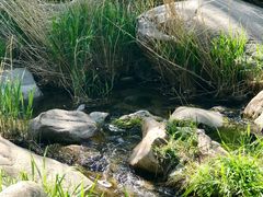 -碓臼峪自然风景区