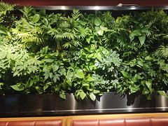 -巴奴毛肚火锅(广益哥伦布店)