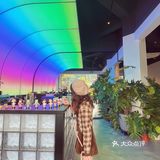 东莞宠物友好店|带着狗狗在森林里下午茶