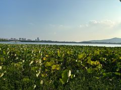 -石湖景区