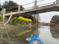 -动邦皮划艇·桨板·独木舟·团建户外运动俱乐部