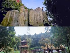 -铁山坪森林公园