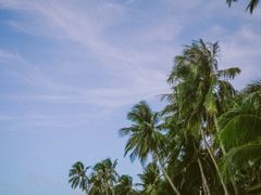 -白沙滩