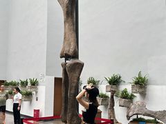 -自贡恐龙博物馆