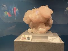 -贵州省地质博物馆