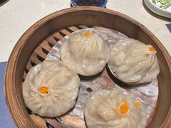 -点都德·毕德寮