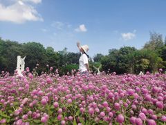 -玫瑰海岸文化旅游度假区