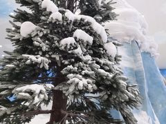 -湘江欢乐城欢乐雪域