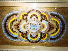 -上海昆虫博物馆