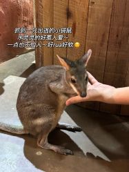 -Zoolung Zoolung动物主题公园(海信广场店)