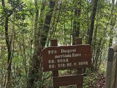 -广州市流溪河国家森林公园