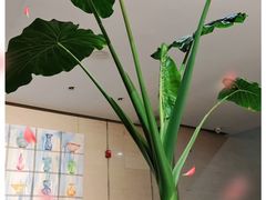 -袁亮今日陶艺(苹果社区总店)