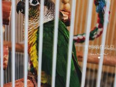 门面-三岔涧农家乐