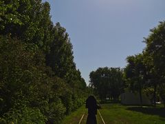 -武清南湖绿博园