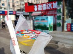 -蜜雪冰城(山东路店)