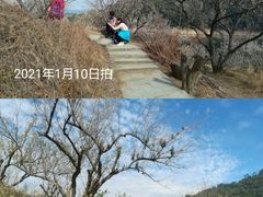 -广州市流溪河国家森林公园
