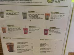 -油梨树 AVOCADO TREE(亮马桥店)