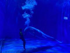 -多彩贵州城极地海洋世界