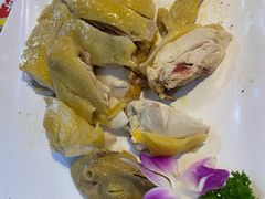 -新高记·粤菜·湛江鸡(南头古城店)
