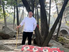 -鲁山国家森林公园